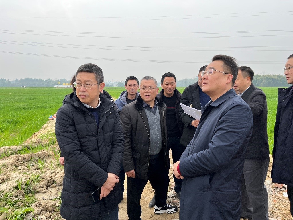 省社、省供投集團領(lǐng)導調(diào)研青白江區(qū)四川現(xiàn)代供銷種業(yè)園區(qū)