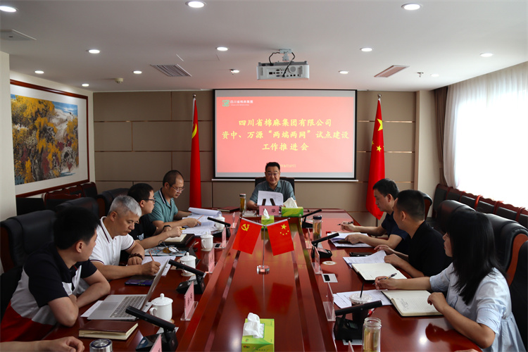 鄧華主持召開資中、萬源“兩端兩網(wǎng)”試點建設(shè)工作推進(jìn)會