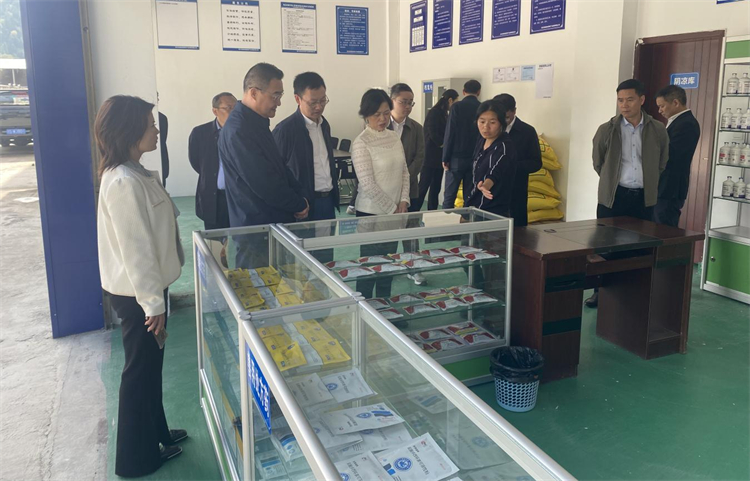 四川省供銷社黨組成員、理事會副主任、一級巡視員楊武秀帶隊到萬源調(diào)研集團舊院黑雞產(chǎn)業(yè)發(fā)展工作