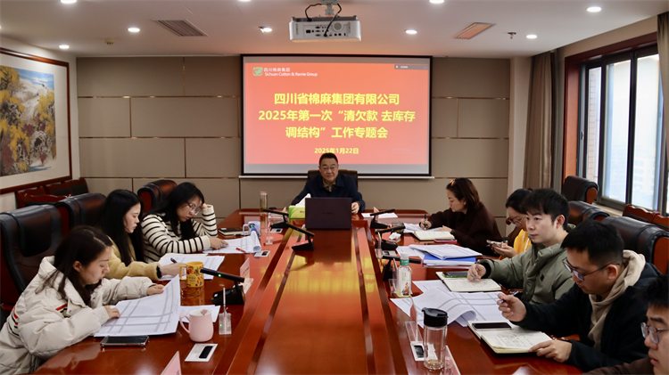 集團公司召開2025年第一次“清欠款、去庫存、調(diào)結構”工作專題會